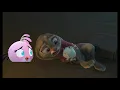 judy hopps heartless