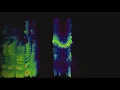 Tone Color - Spectrogram