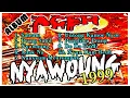 Download Lagu LAGU ACEH JADUL NYAWOUNG 1999 FULL ALBUM ~ LAGU KHAS ACEH TERBAIK