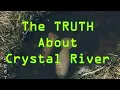 The TRUTH about Crystal River Florida and Three Sisters Springs and Swim With Manatee Tours