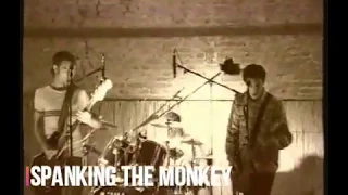 spanking the monkey