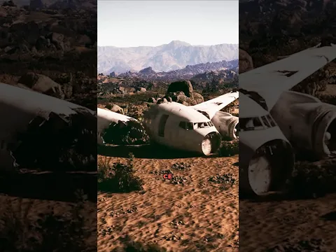 Да УМРЕШ ОТ УЧТИВОСТ #айдебг #airplane