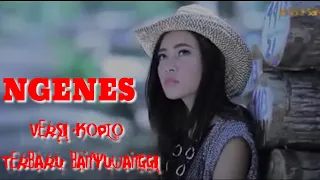 Download NGENES TERBARU BANYUWANGGI  VERSI KOPLO MP3