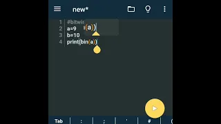 bitwise operators in python