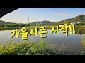 Download Lagu 시리의일상탈출 낚시TV 라이브 스트리밍 중