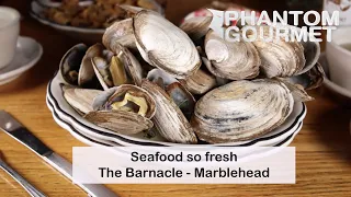 The Barnacle - Marblehead MA