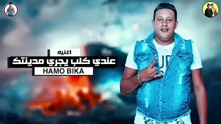 مهرجان عندي كلب يجري مدينتك   كل الناس تفرح الا انا   حمو بيكا   مودي امين        دندنها