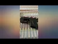 ArmaLaser Designed to fit Ruger LCP II TR12 Red Laser Sight with Grip Activation review