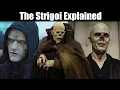 Vampires From The Strain TV Series