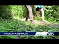 Ask Kelly Future of Hays Wood