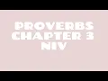 Proverbs 3 NIV Read by a Black Woman Spoken Word Style Bible Noir