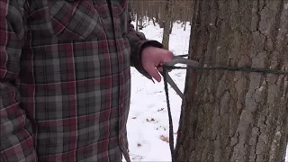 Simplified Wild Edge Step Knot
