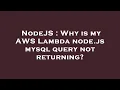NodeJS Why is my AWS Lambda node js mysql query not returning