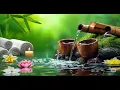 Download Lagu Relaxing Music and The Sound of Water to Relieve Worry and Anxiety 🌿 Relieve Stress #99