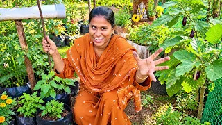 புது வீட்டு Garden-க்கு PILLAYAR சுழி போட்டாச்சு!😍 | எங்க Dream Garden ஆரம்பம் | INDIAKUTTY