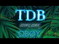 OBOY - TDB (K0SMIC REMIX)