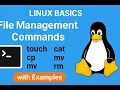 Linux Basics File Management Commands Explained touch cat cp rm with Examples