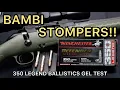 DEER DEFENSE 350 Legend Winchester Defender 160gr Bonded Ammo Test