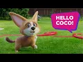 Download Lagu Coco \u0026 the winning catch
