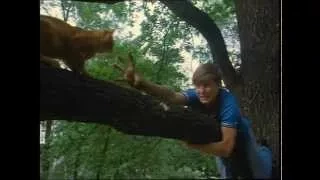 Ералаш 136 Котовасия 