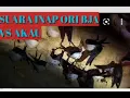 Download Lagu SUARA INAP WALET ORI AKAU VS BJA TERBAIK 2022