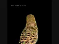 Andrew Bird - Fiery Crash