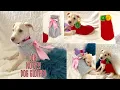 EASY D I Y DOG CLOTHES NO SEW FUR BABY FASHION QUICK AND FAST