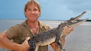 Stevie Irwin The Crocodile Hunter Wildlife Expert Fame Story Upload 2016