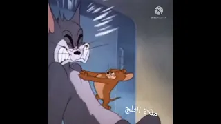 يلي نسيت الغرام  محمد سعد دندنها