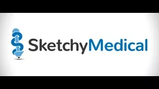 Guide to Most Efficient Way to Use Sketchy Medical Micro Pharm and Path
