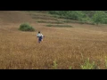 UNDER THE SAME SKY Trailer- Los Angeles Asian Pacific Film Festival