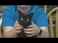Paws for Pets Corpus Christi Jan 31st