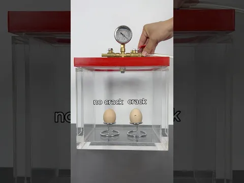 Vacuum vs Eggs