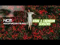 Download Lagu Rival x Cadmium - Seasons (feat. Harley Bird) [NCS Release]