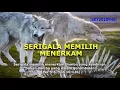 Download Lagu SKY (Surat Kasih Yesus 💗) The Letter of Jesus ✝️ #AYOOO! BANGUN KEBERSAMAAN