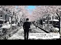 ASKA/けれど空は青〜close friend〜　Covered by もーたそ