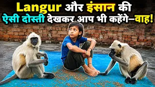 ❤️🐒 इंसान और Langur की ऐसी अनोखी दोस्ती आपने शायद ही कभी देखी होगी! 😱