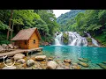 Download Lagu Rustgevende muziek 🌿 Prachtige ontspannende muziek, sfeervolle natuurgeluiden, diepe slaap, innerli