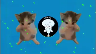 dj kicau mania remix slow viral fyp tiktok full song newest 2026