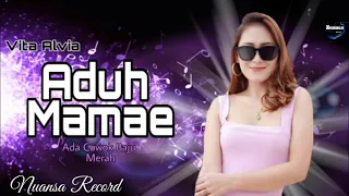 Download Aduh Mamae - Vita Alvia 🎵 Tiktok Ada cowok Baju Merah (Nuansa Record) MP3