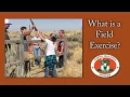 Field Exercise What to Expect