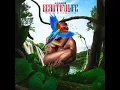 Beautiful Life