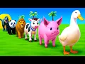 Download Lagu الليلة الأولى | ليالي الامتحان الأخيرة| ثالثة ثانوي ٢٠٢٥ مع أ. محمد صلاح