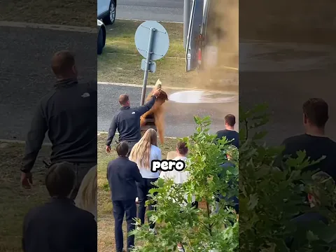 TE LLENAN DE CANELA SI ESTÁS SOLTERO 😂