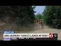 Vermont s loggers and sawmills are disappearing and that s bad news for forests