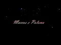 Paloma e Marcos - La Bel Haki