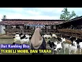 Berawal Dari Nol Sampai Bisa Sukses Terbeli Mobil Dan Tanah Dari Kambing