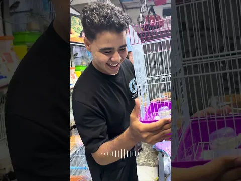 ربيت سنجاب بري في المنزل🐿️😻 #explore