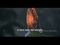 El Efecto Mariposa en un cosmos infinito
