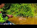 Lagu OPEN TRIP MANCING UDANG GALAH!! PEDALAMAN SUNGAI KALIMANTAN BARAT